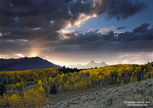 Image description is not available for 2012.009